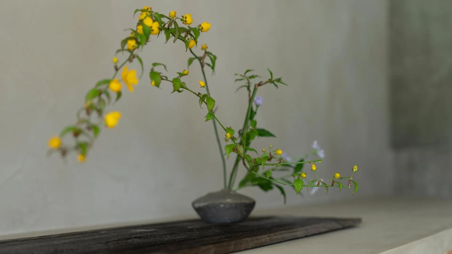 Kamohan Kyoto Holiday home